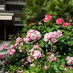 Michelangelo & Day Hotel 4*