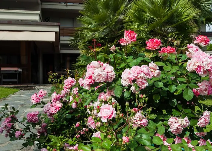 Michelangelo&day Hotel 4*